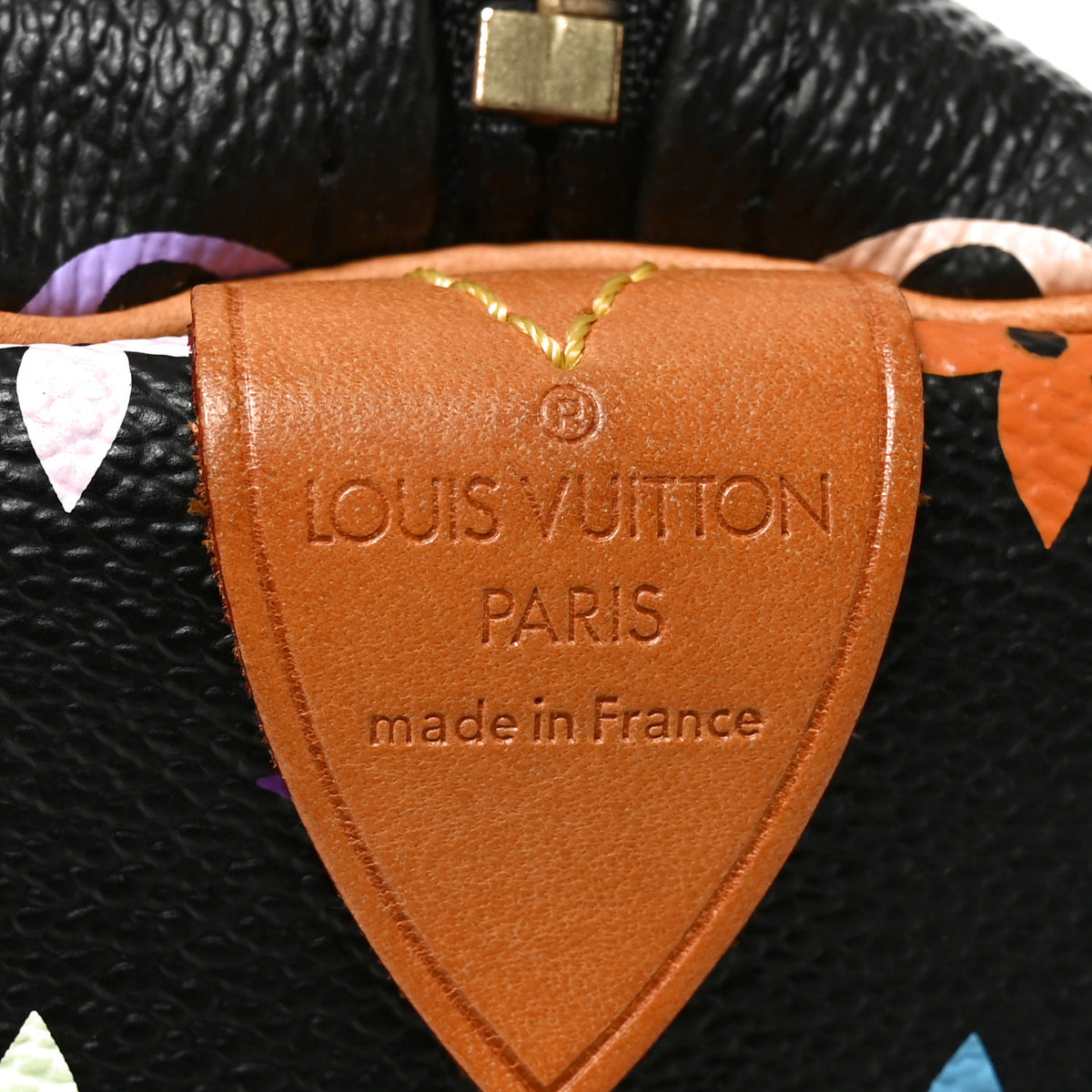 Monogram Multicolor Speedy 30 Black