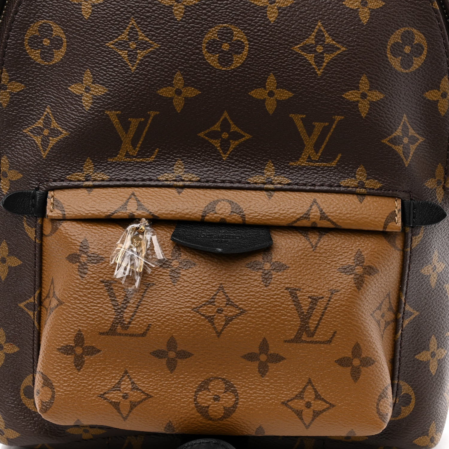 Louis Vuitton LOUIS VUITTON Reverse Monogram Palm Springs Backpack PM 6 of 8