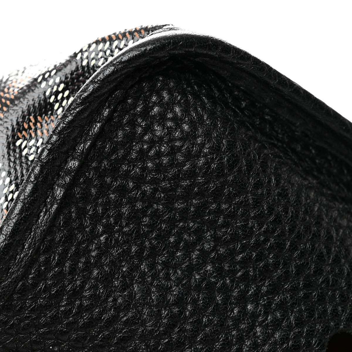 Goyard Goyardine Sac Hardy Pet Carrier PM Black 12 of 12