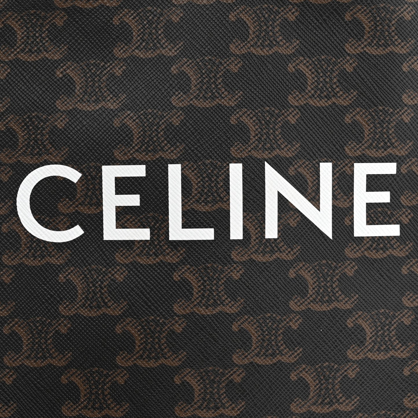 Triomphe Canvas Calfskin Mini Vertical Cabas Tan