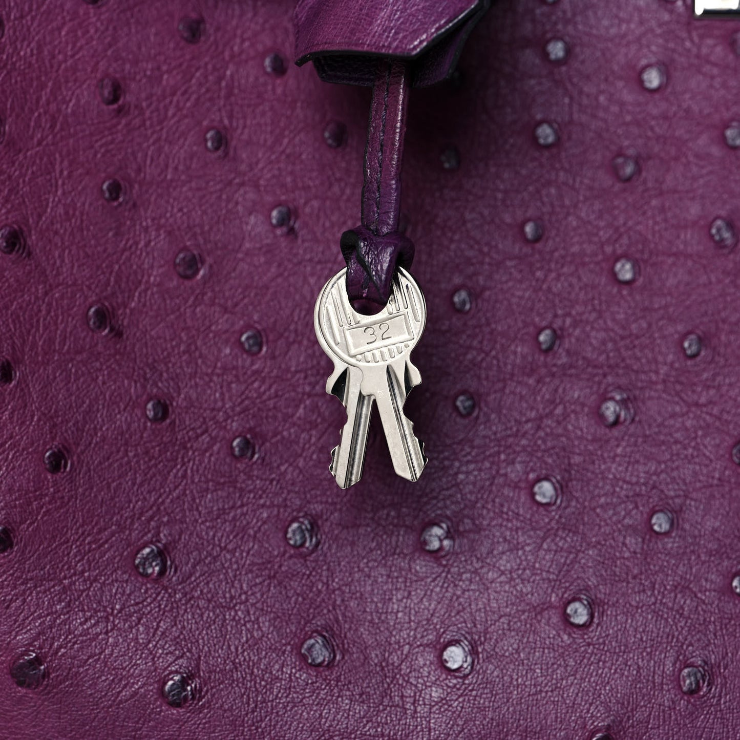 Ostrich Birkin 30 Violine