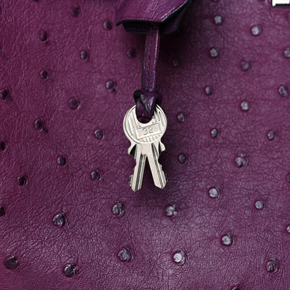 Hermes Ostrich Birkin 30 Violine 28 of 31