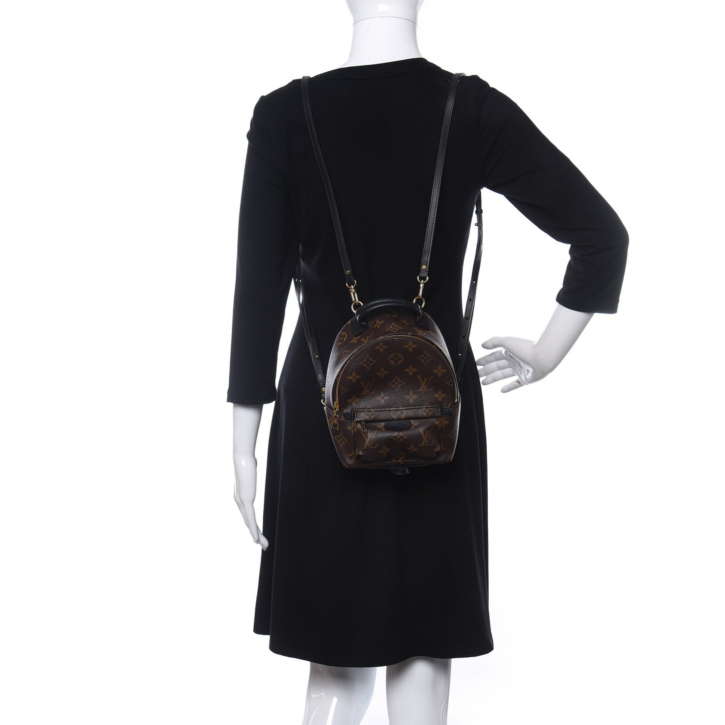 Monogram Palm Springs Backpack Mini