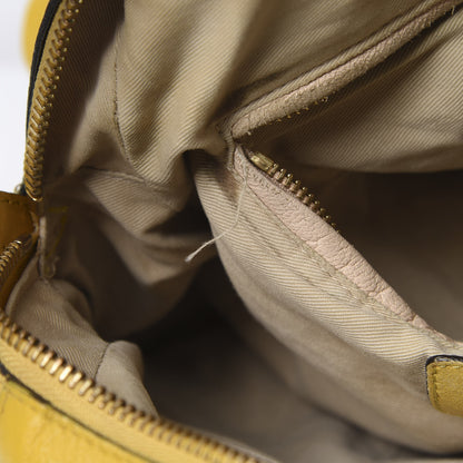 Chloe Calfskin Medium Paraty Citrus Grove 14 of 27