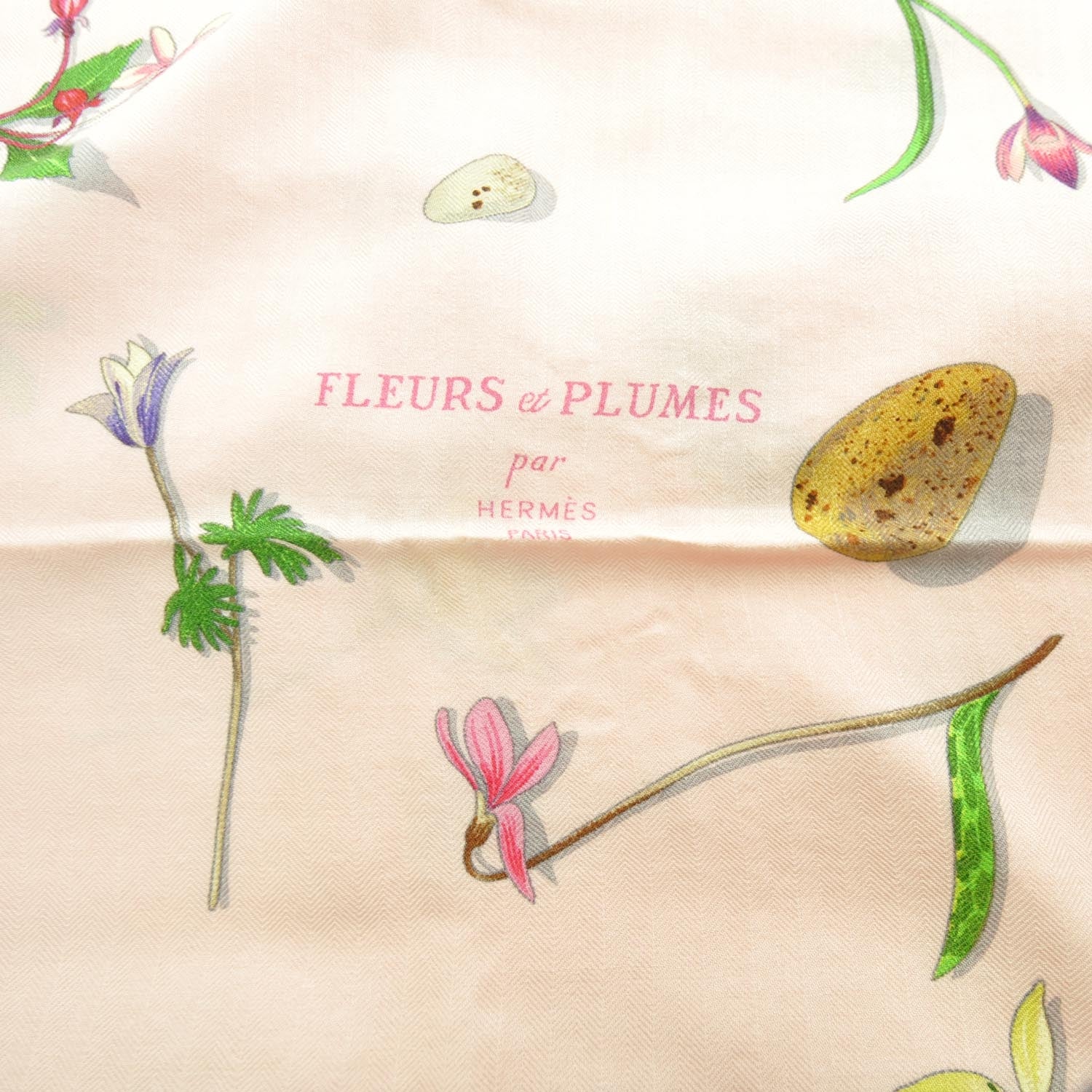 Hermes Cashmere Silk Fleurs et Plumes Shawl 140 7 of 9