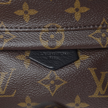 Louis Vuitton Monogram Palm Springs Backpack Mini 10 of 11