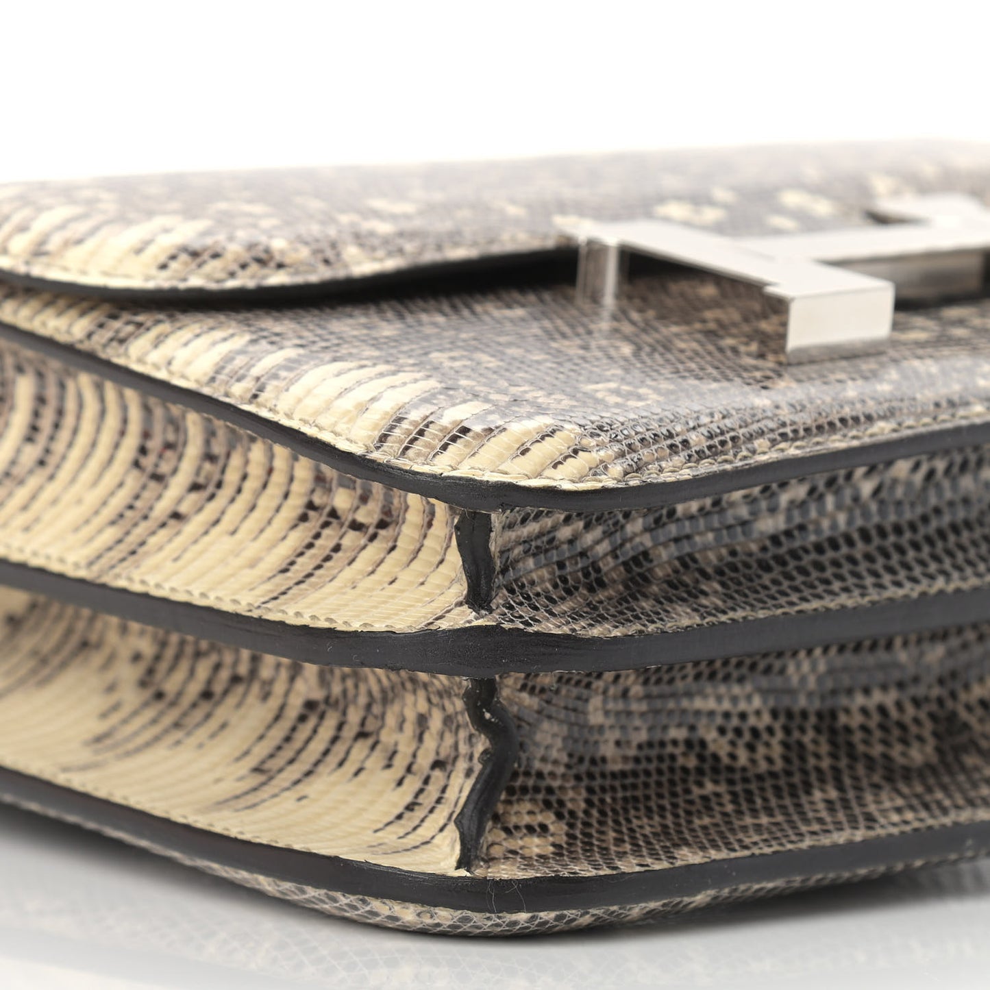 Lizard Constance 18 Ombre