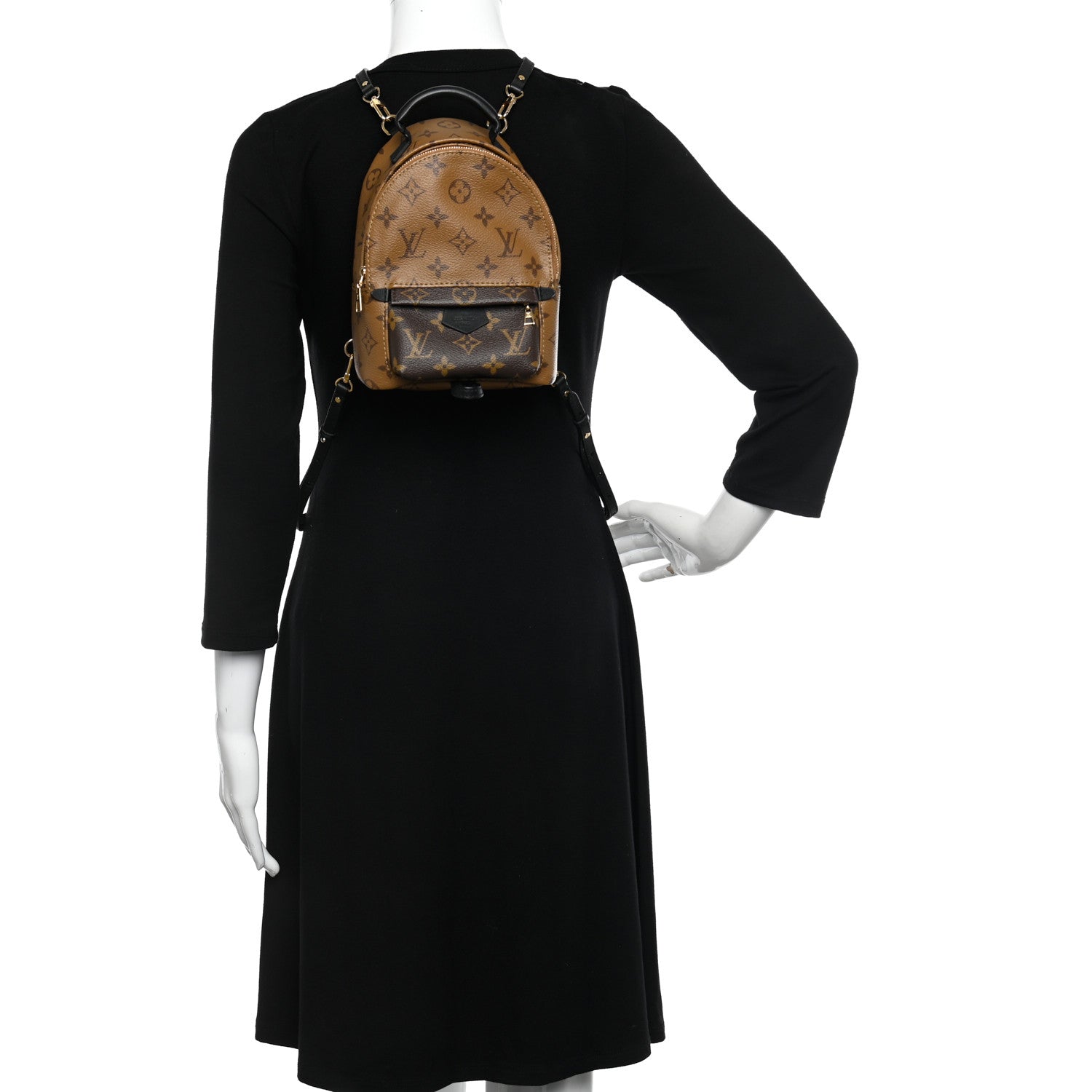 Louis Vuitton Reverse Monogram Palm Springs Backpack Mini 2 of 9