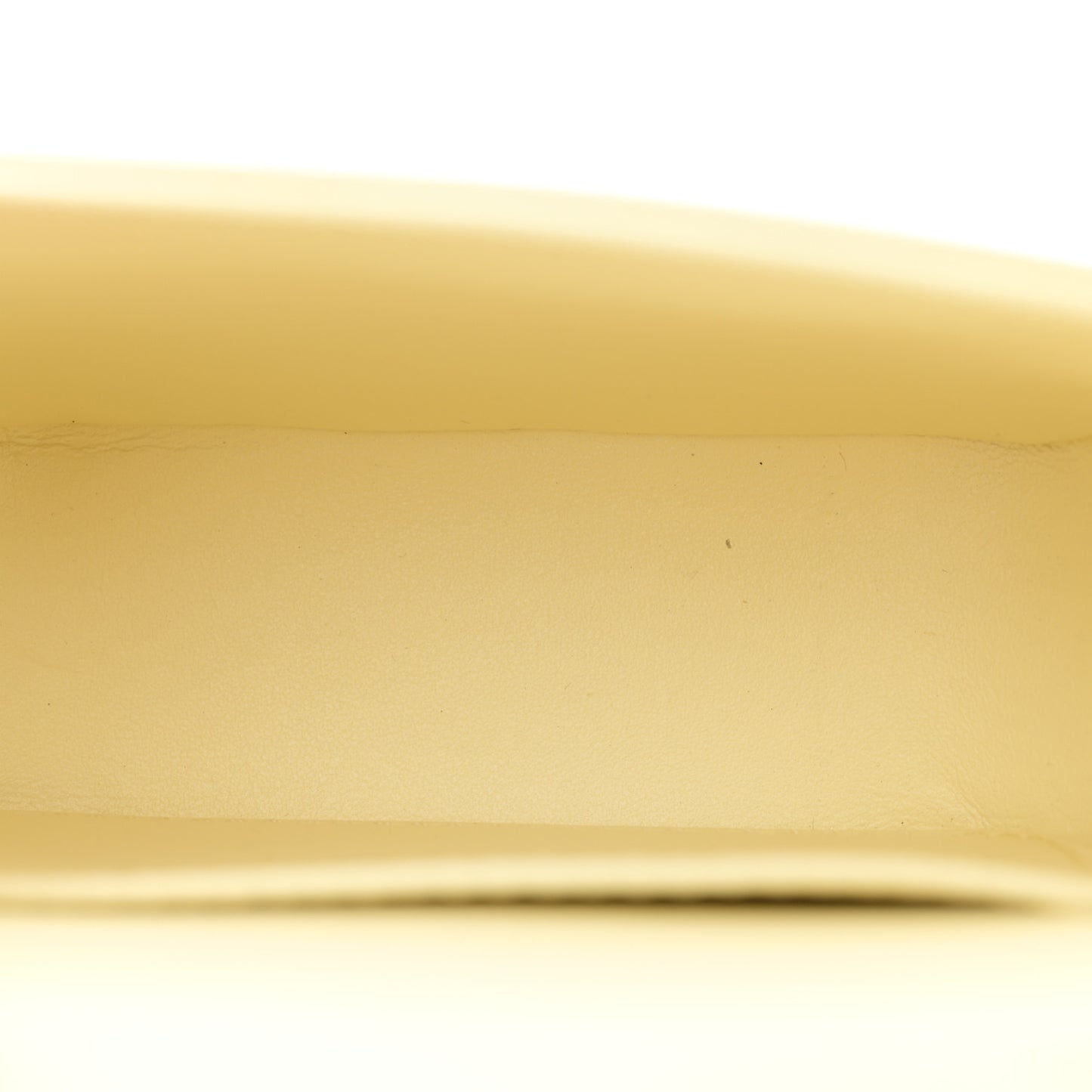 Shiny Calfskin Mini Triomphe Pollen