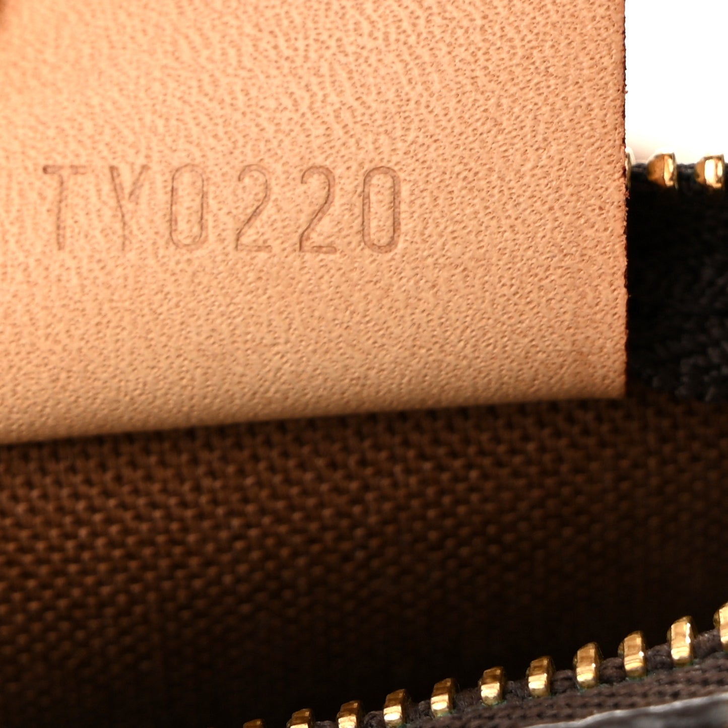 Monogram Nano Speedy