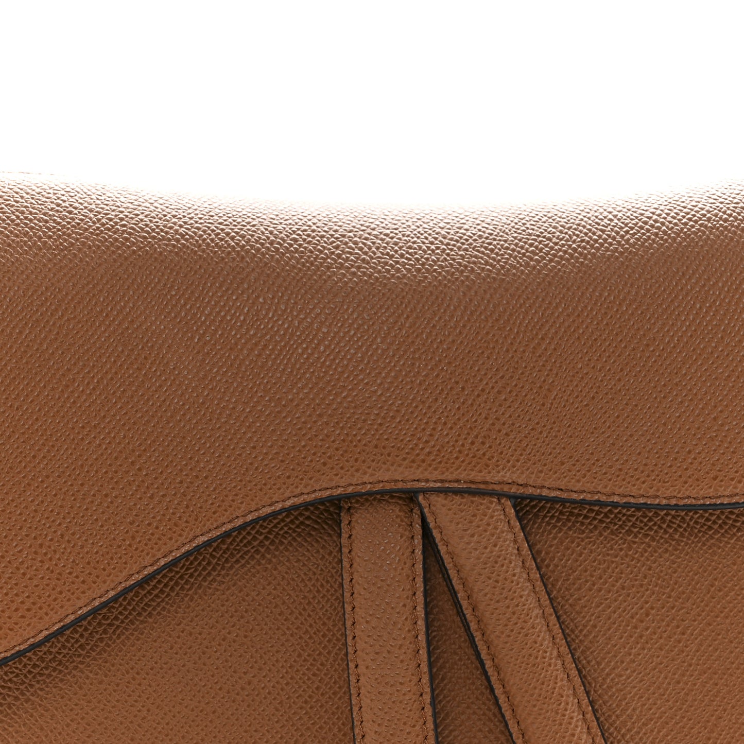 Grained Calfskin Saddle Bag Golden Saddle