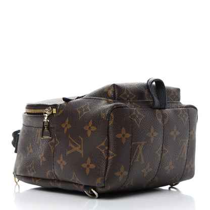 Louis Vuitton Monogram Palm Springs Backpack Mini 4 of 15