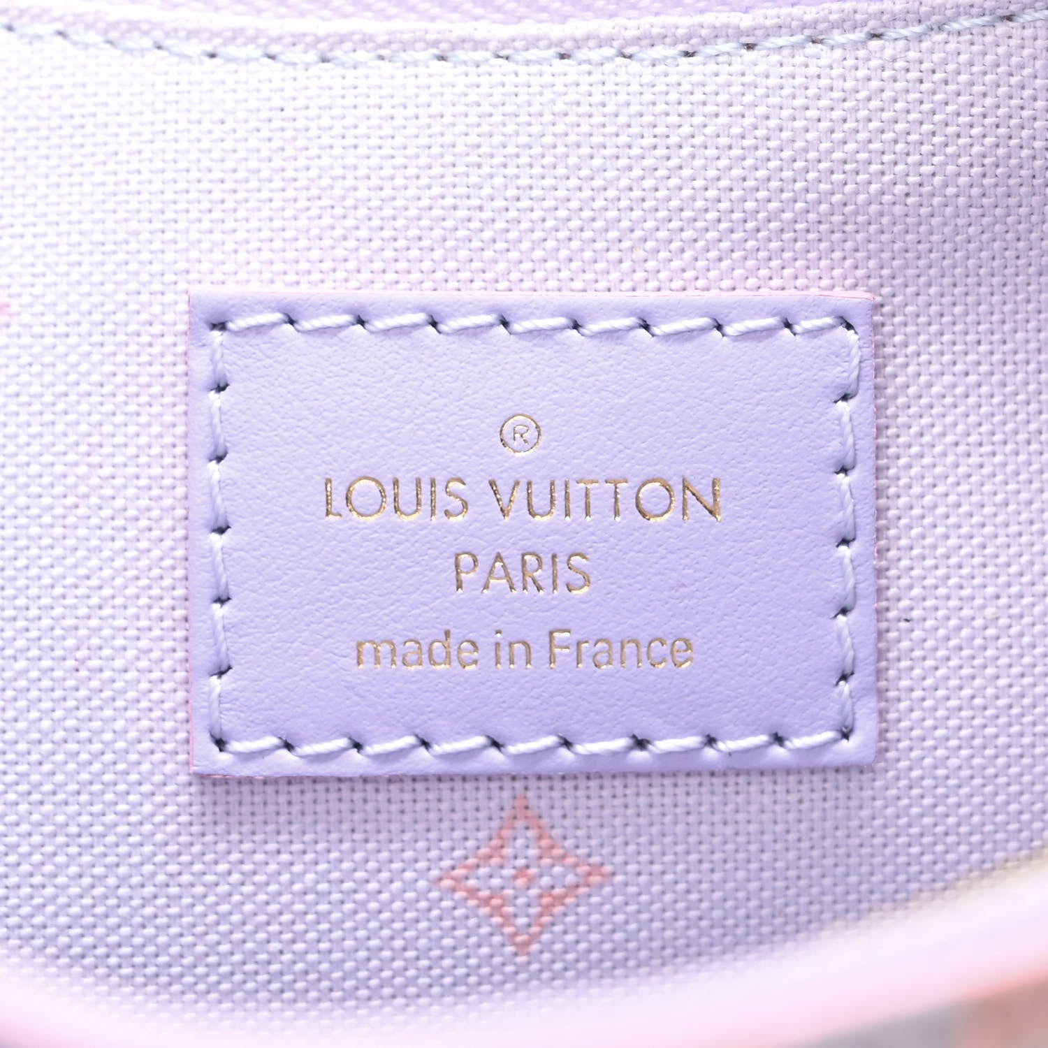 Louis Vuitton Monogram Giant Spring In The City Marshmallow Hobo PM Sunrise Pastel 6 of 10