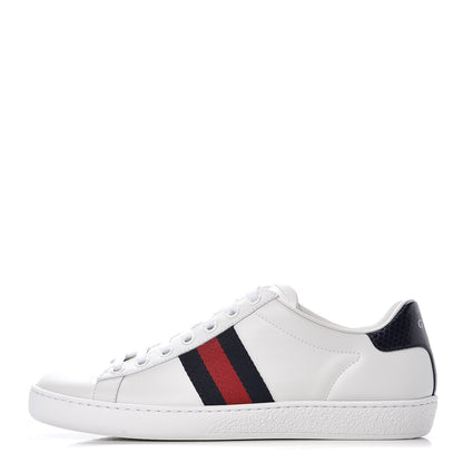 Gucci Calfskin Ayers Web Ace Sneakers 36.5 White Blue 1 of 12