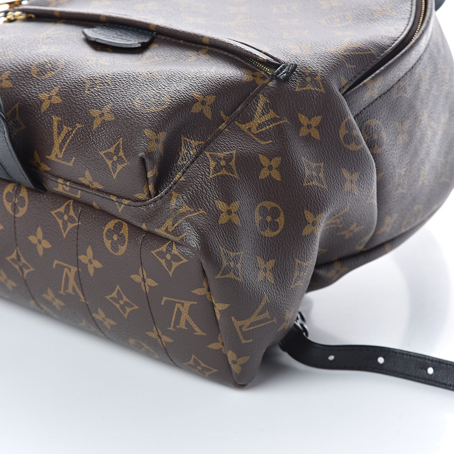 Monogram Palm Springs Backpack MM