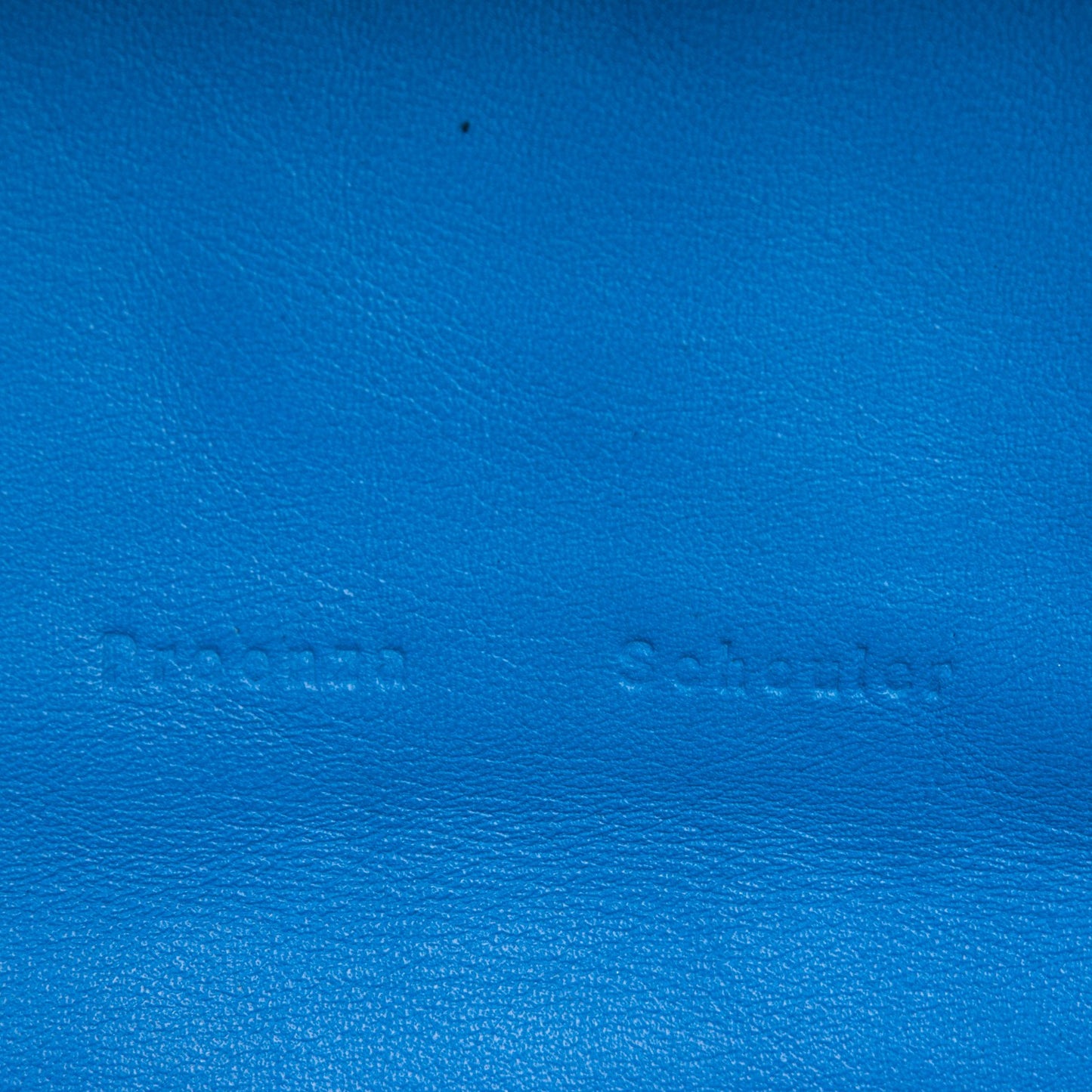 Python Small Lunch Bag Clutch Light Blue