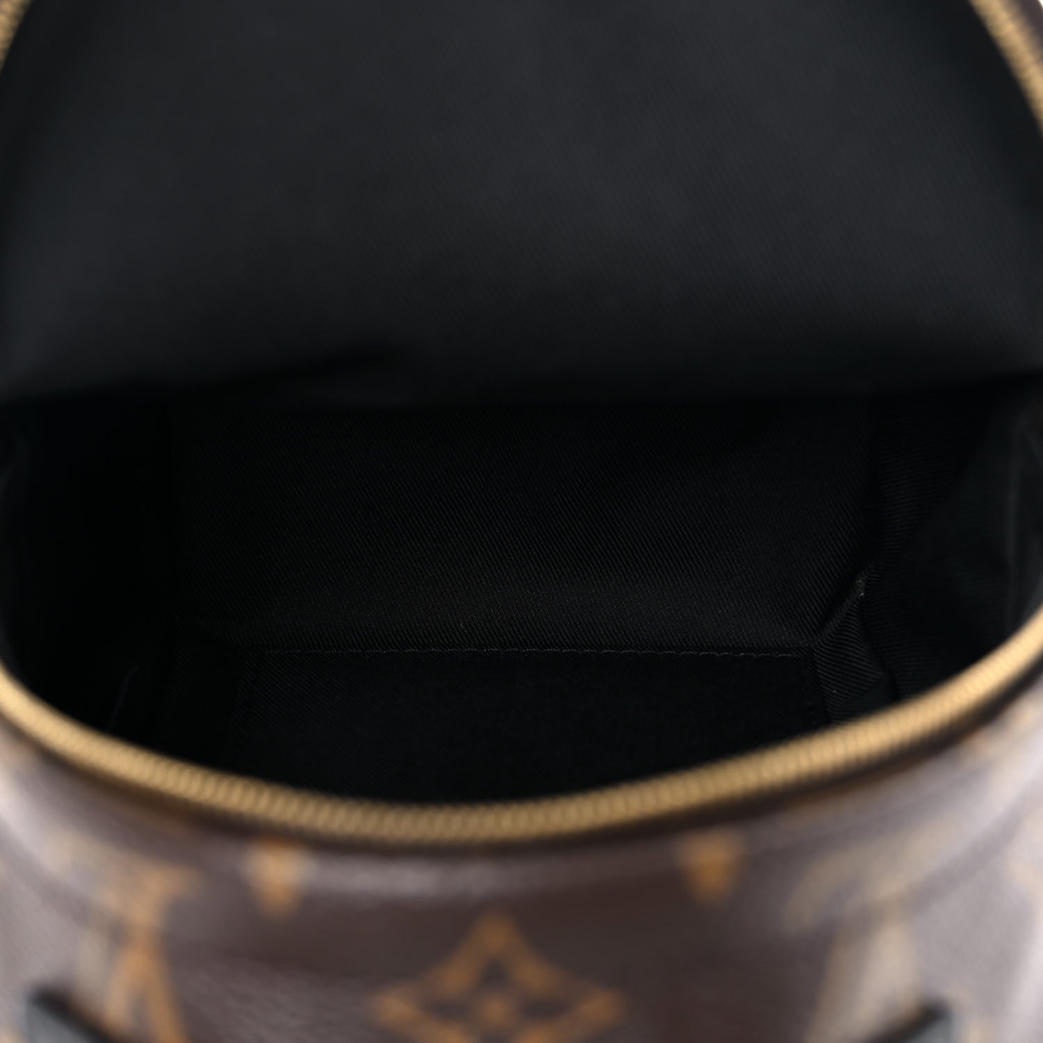 Louis Vuitton Monogram Palm Springs Backpack Mini 5 of 9