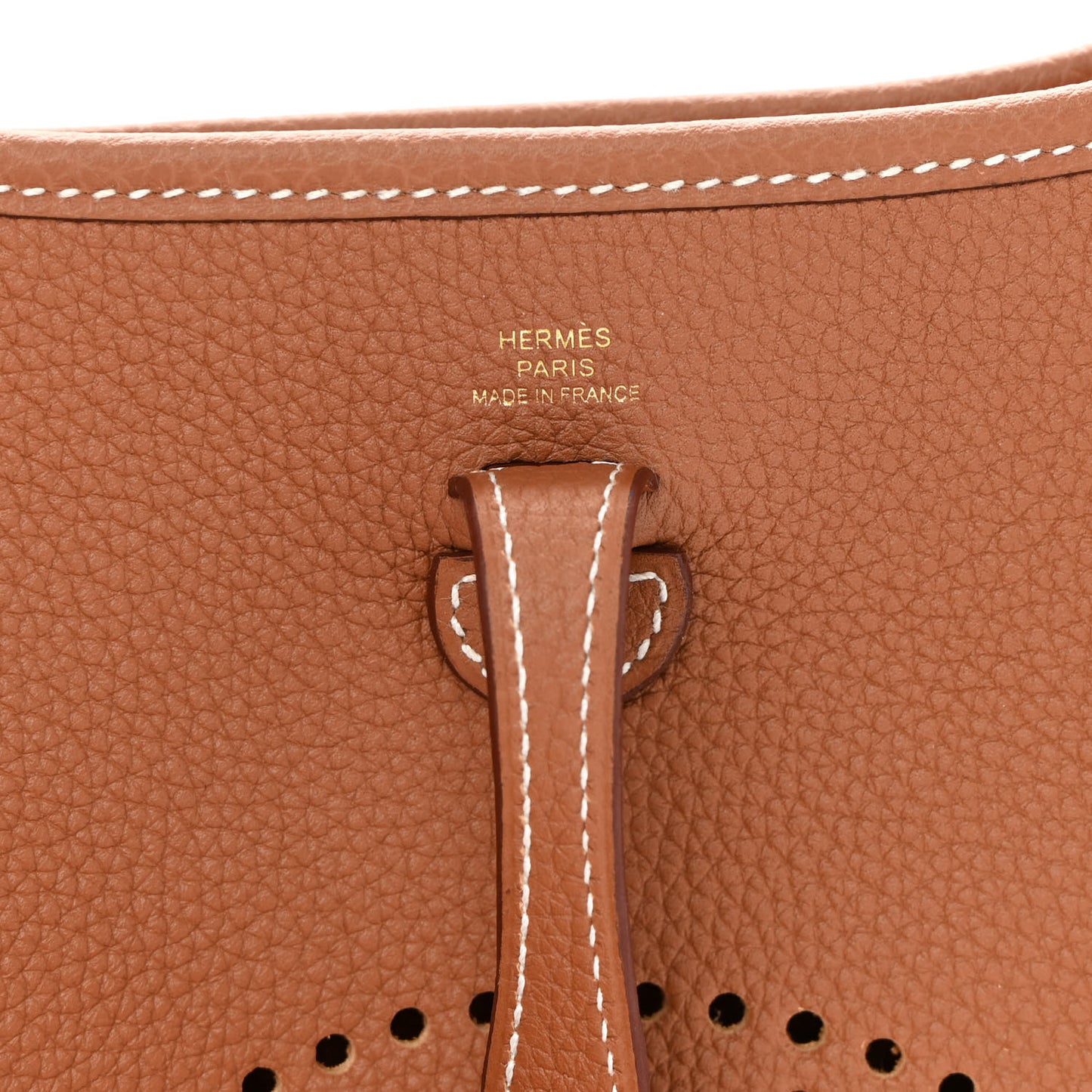 Taurillon Maurice Evelyne TPM Gold