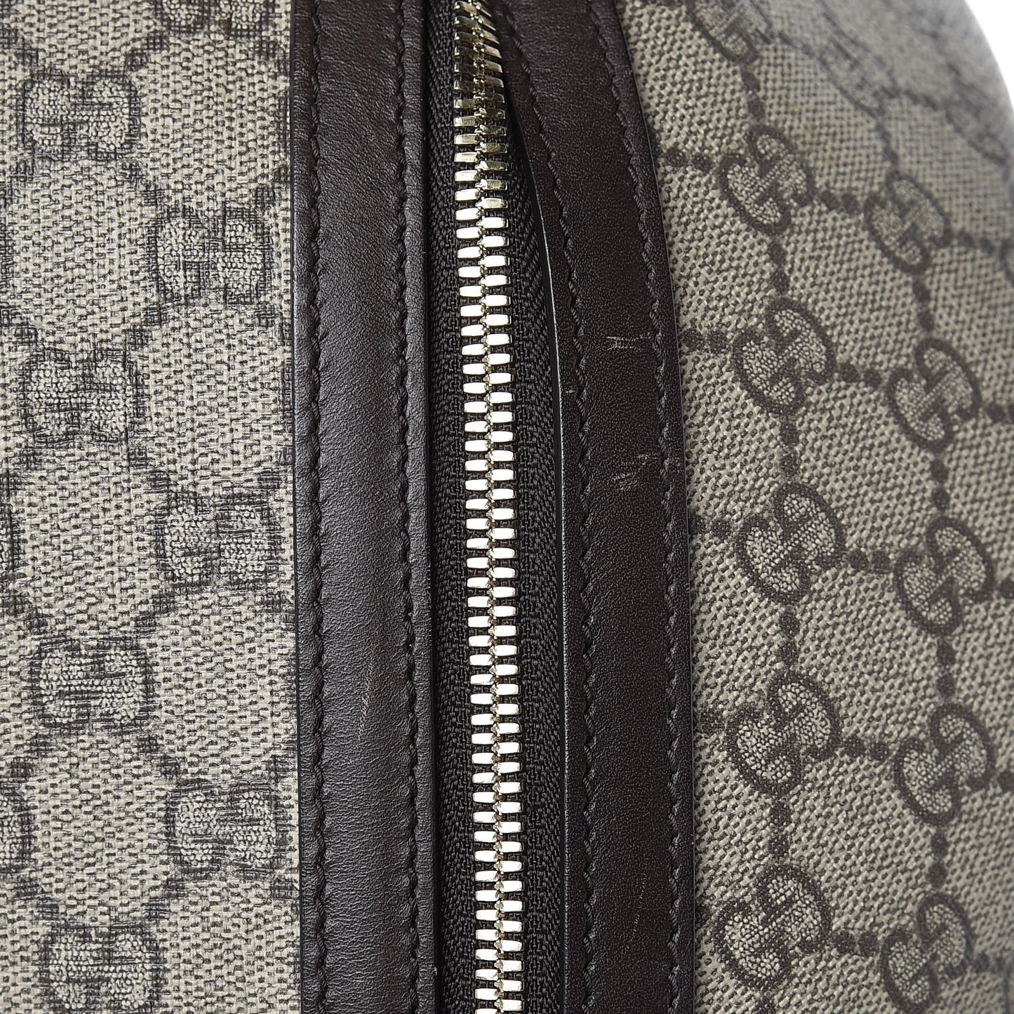 GG Supreme Monogram Large Day Backpack Brown