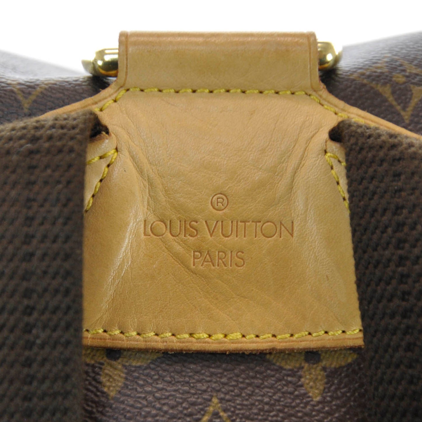 Monogram Montsouris GM Backpack