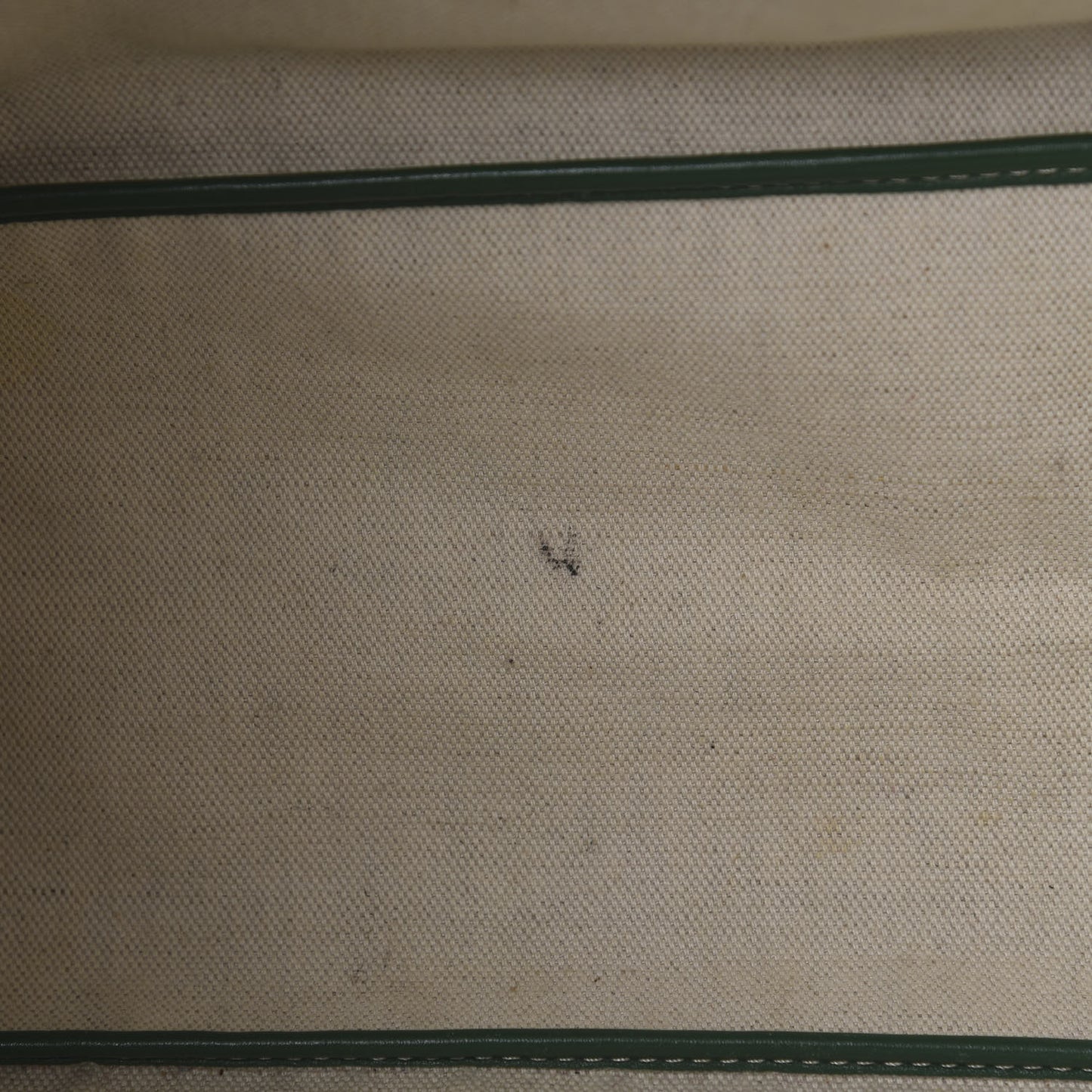 Goyardine Saint Louis PM Green