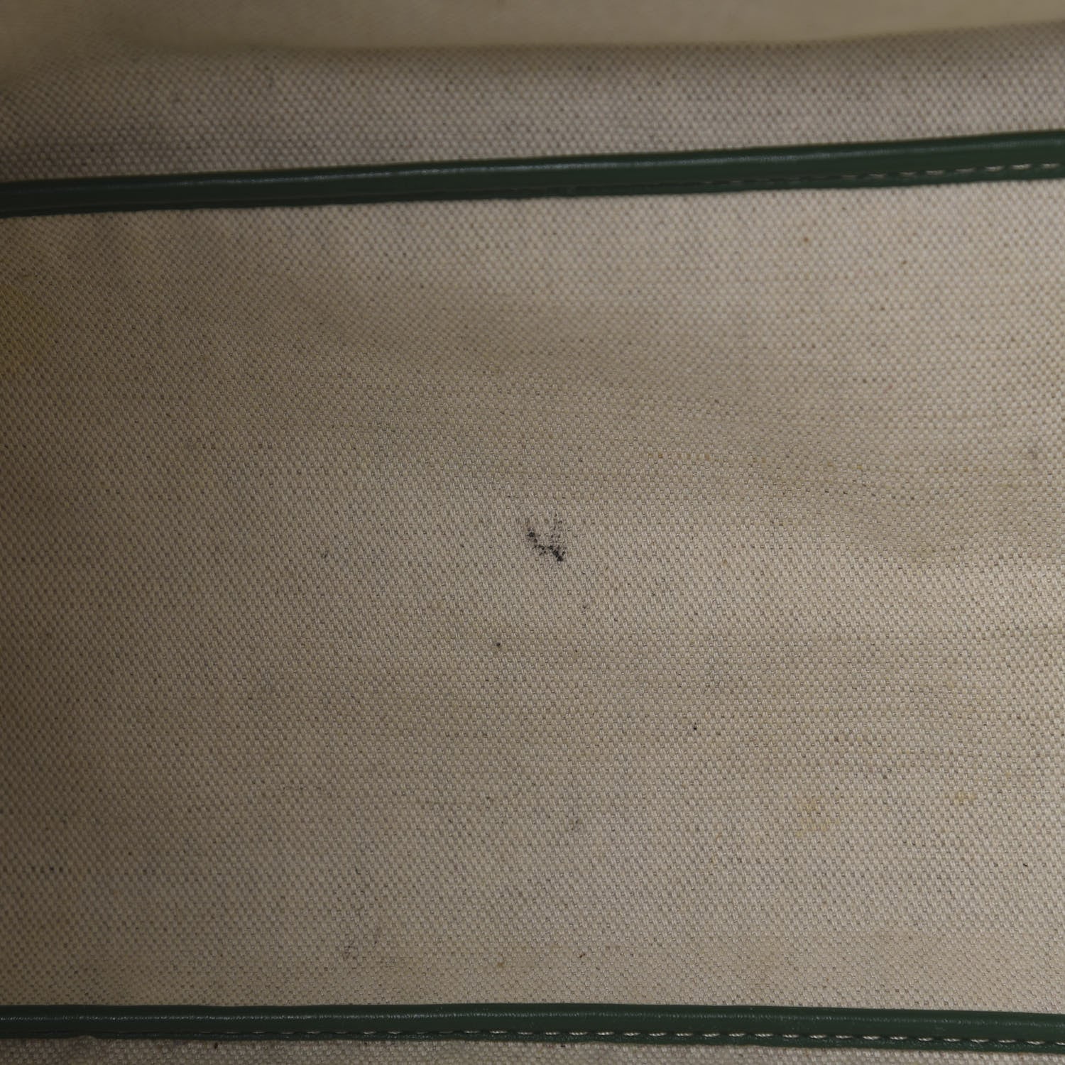 Goyard Goyardine Saint Louis PM Green 7 of 10