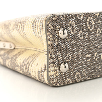 Louis Vuitton Lizard Mini Capucines Argento 9 of 10