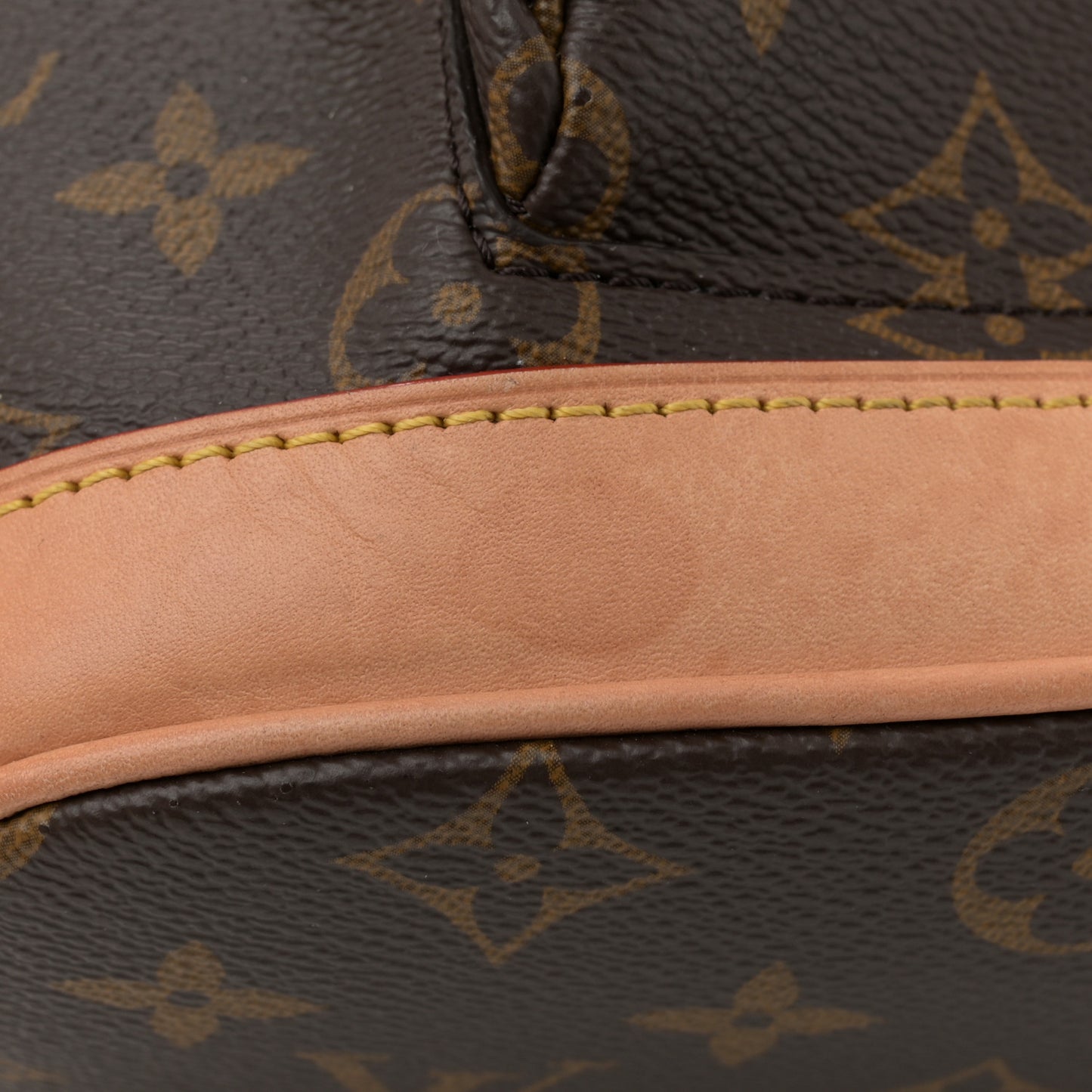 Monogram Montsouris PM Backpack