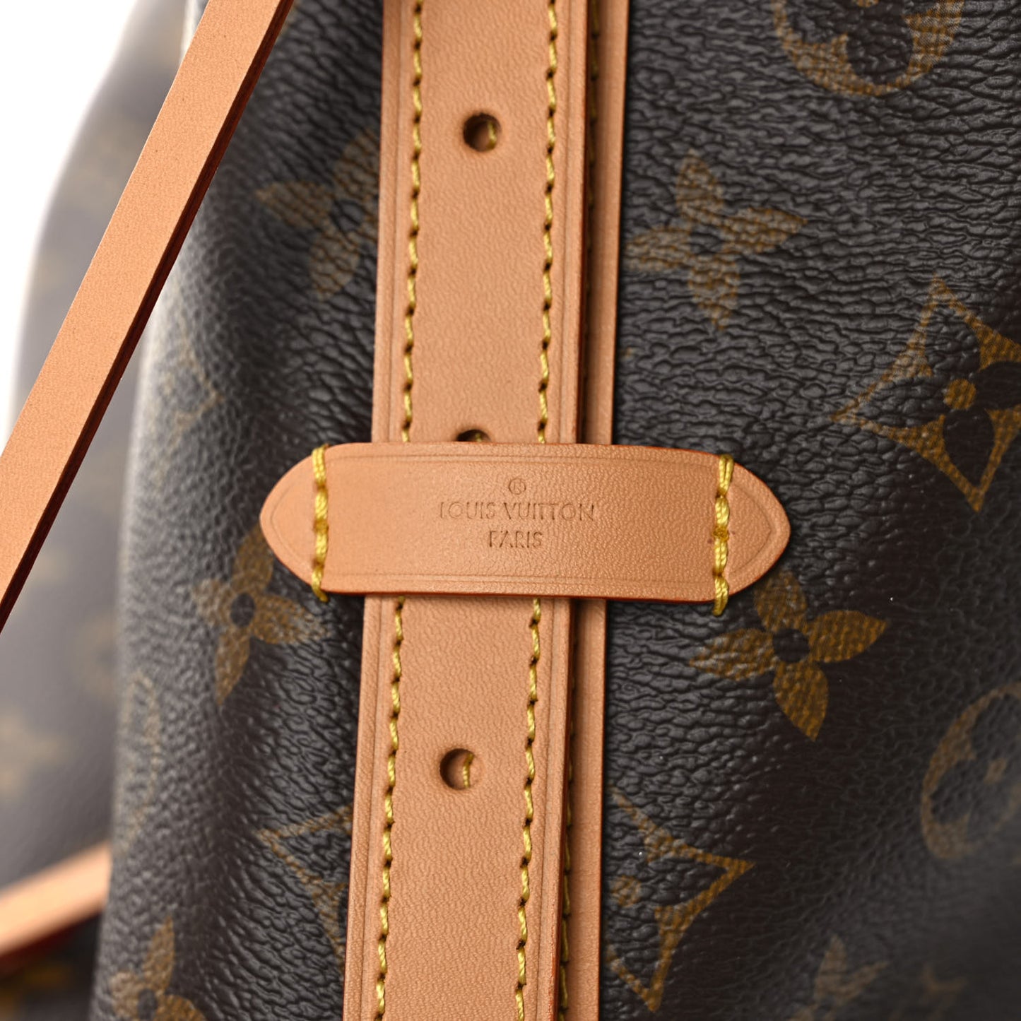 Monogram CarryAll MM