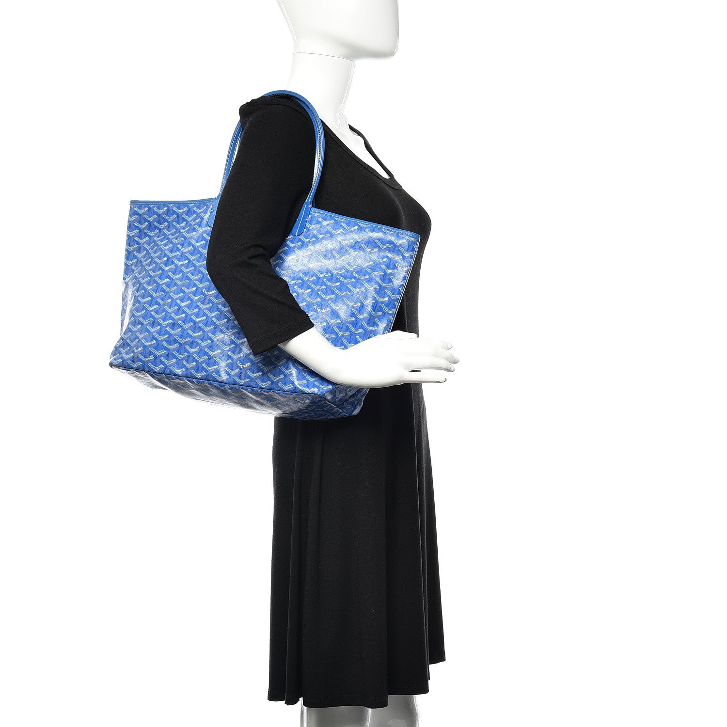 Goyard Goyardine Saint Louis PM Sky Blue 2 of 9