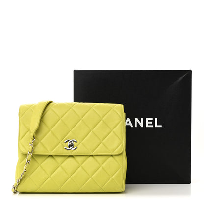 Chanel Lambskin Quilted CC Single Flap Green 14 of 14