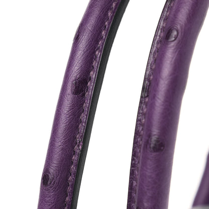 Hermes Ostrich Birkin 30 Violine 11 of 14