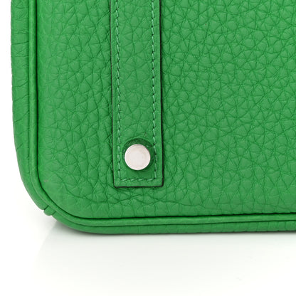 Hermes Togo Birkin 30 Bambou 11 of 12