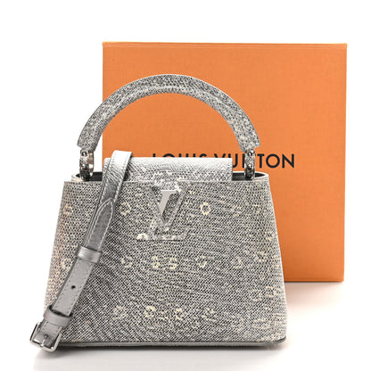 Louis Vuitton Lizard Mini Capucines Argento 10 of 10