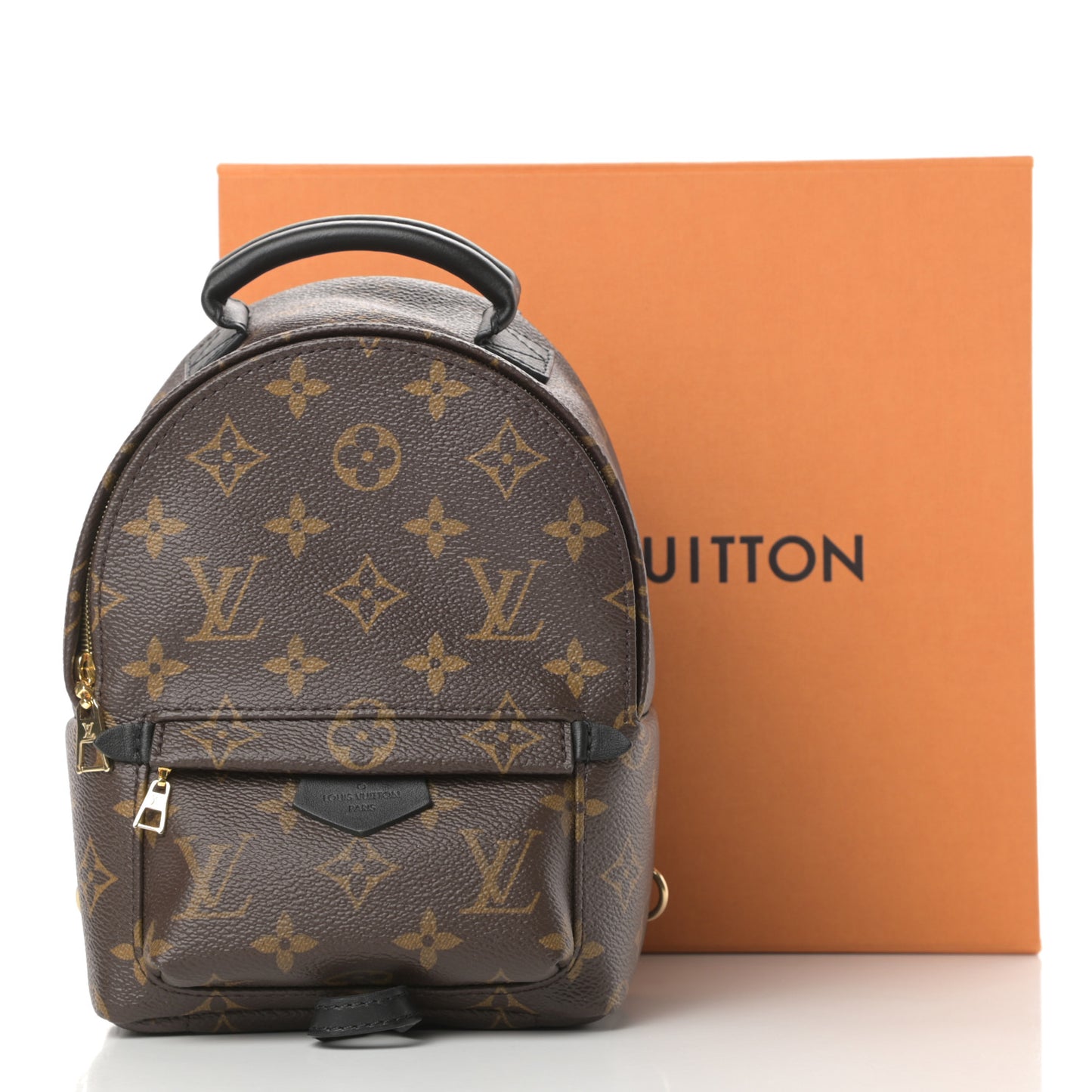 Monogram Palm Springs Backpack Mini