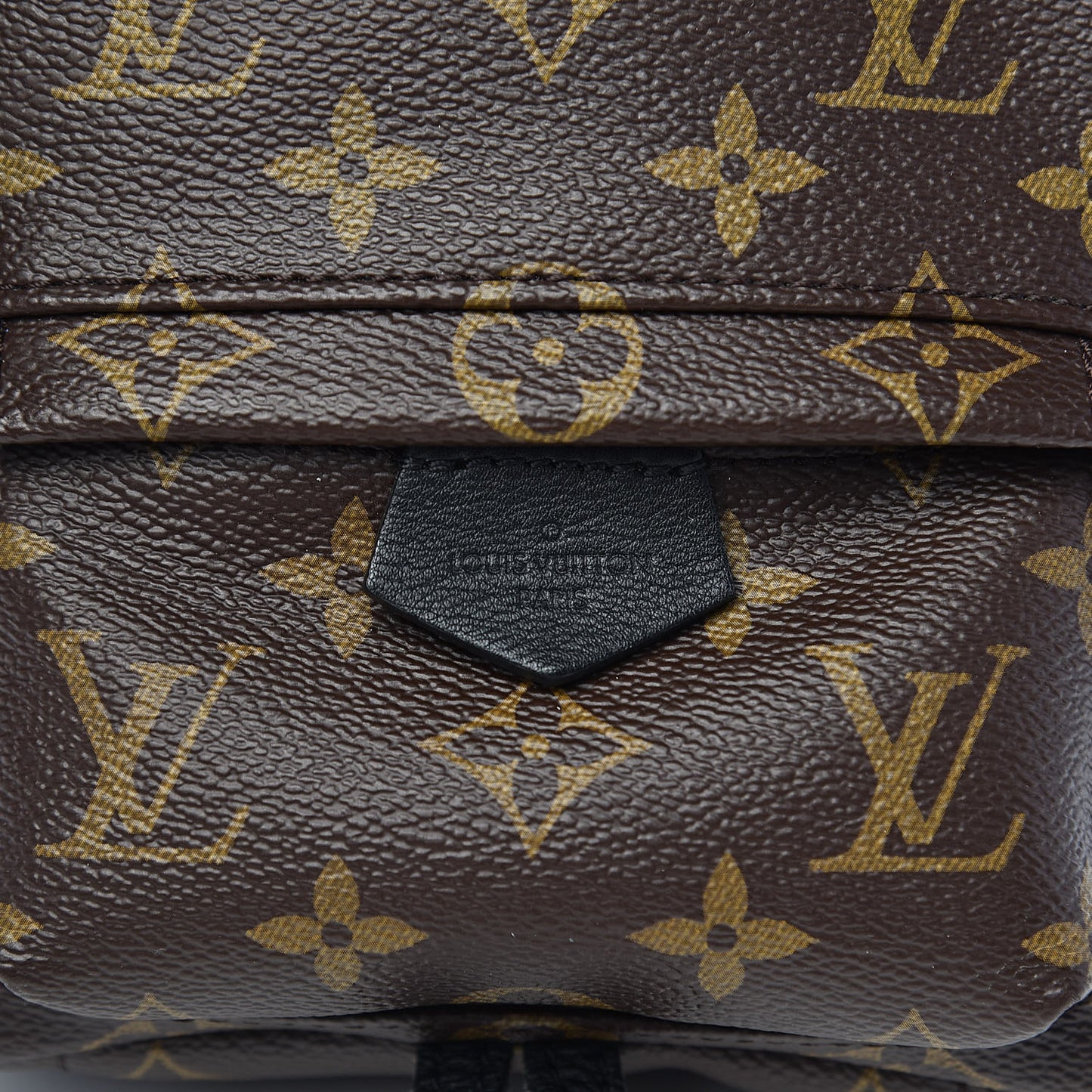 Monogram Palm Springs Backpack Mini