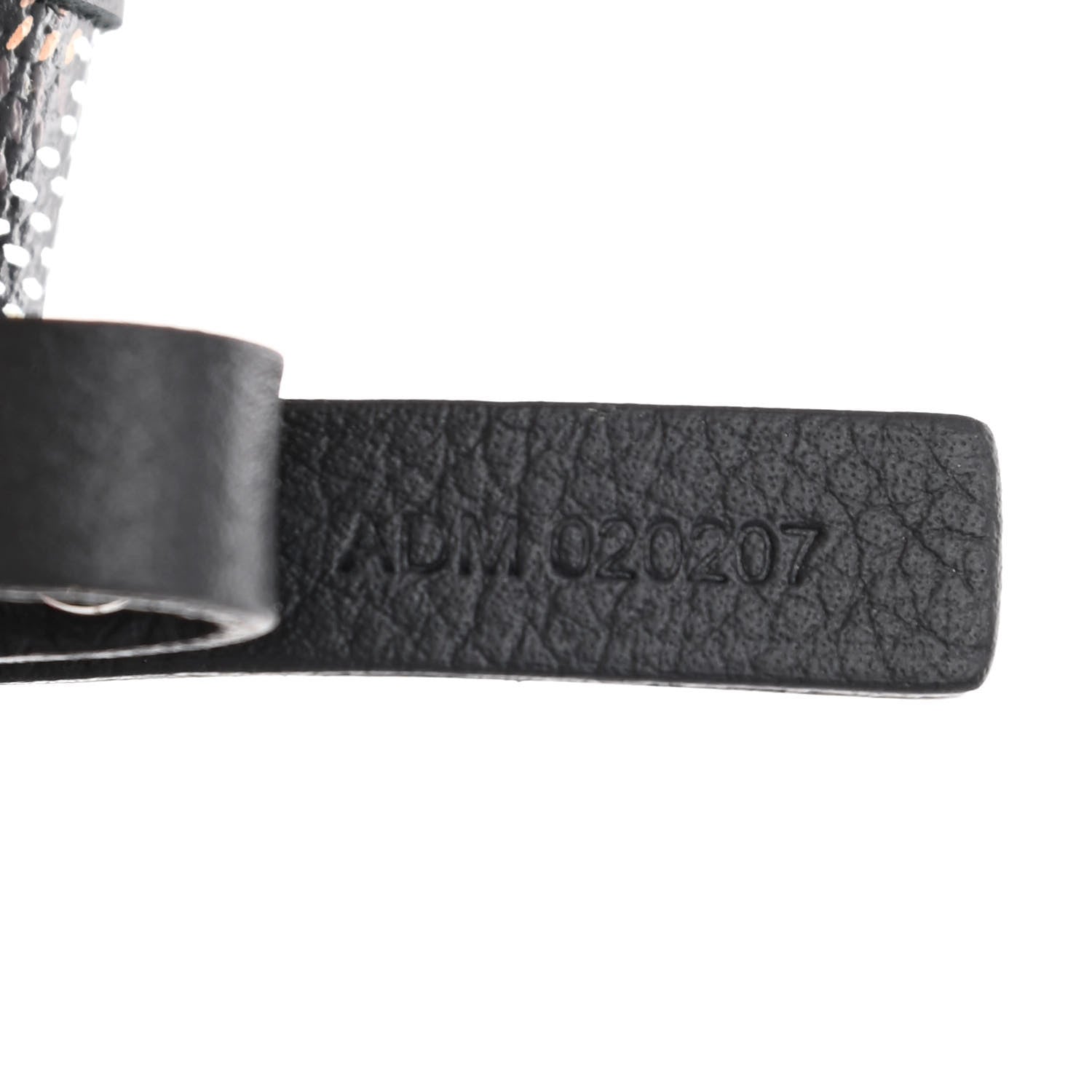 Goyard Goyardine Saint Louis PM Black 9 of 12