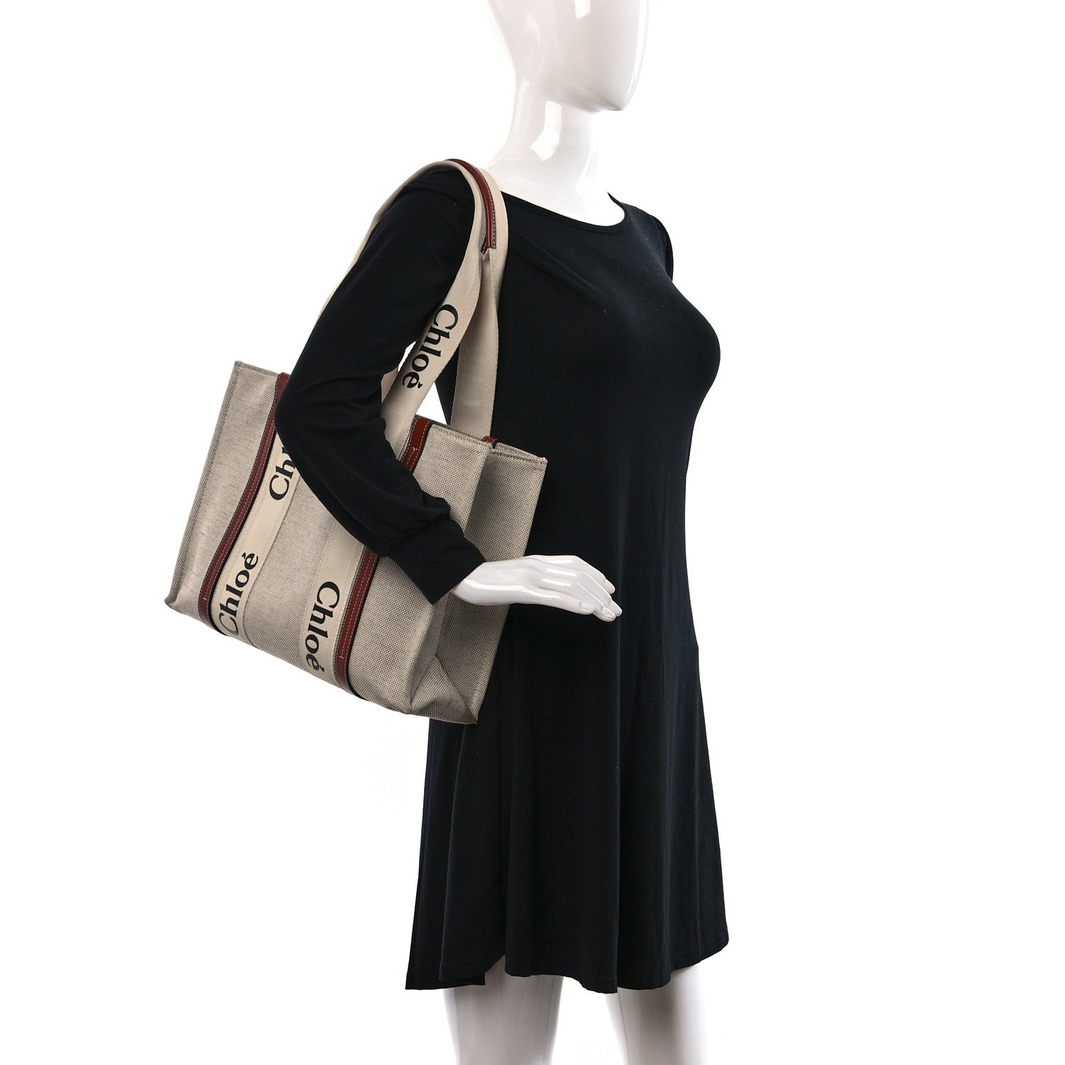Chloe Cotton Calfskin Medium Woody Ribbon Tote White Brown 2 of 12