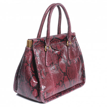 Prada Python Frame Bag Amarena 3 of 9
