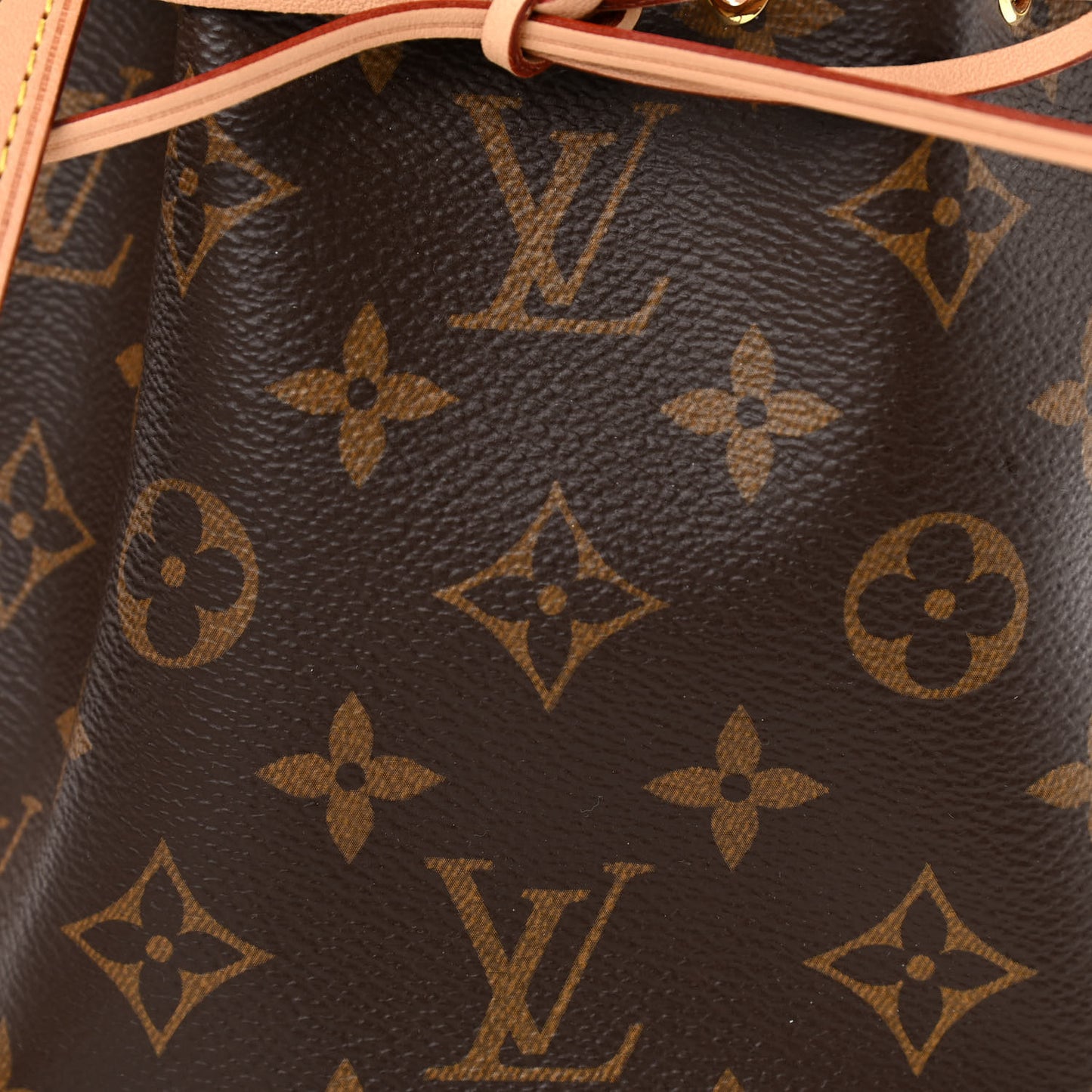 Monogram Nano Noe