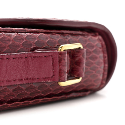 Celine Watersnake Teen Triomphe Ruby 13 of 13