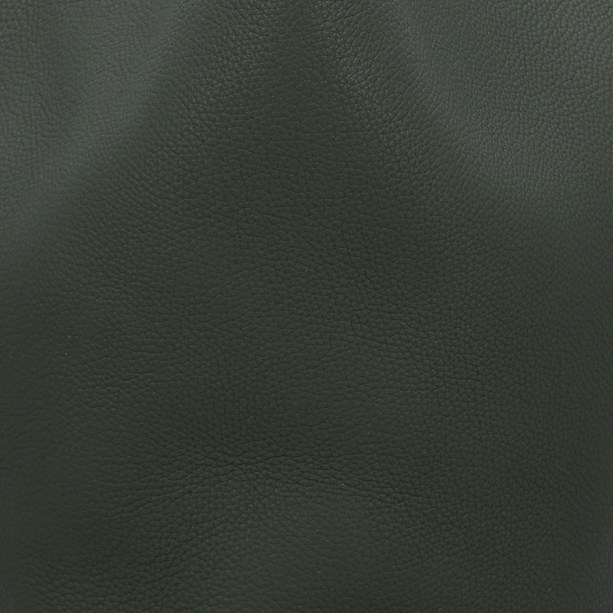 Khaite Pebbled Sport Calfskin Small Lotus Tote Bottle Green 7 of 9