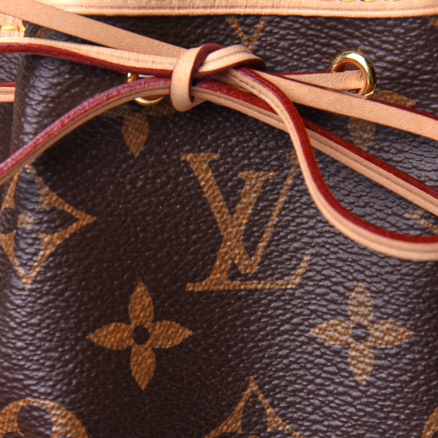 Monogram Nano Noe