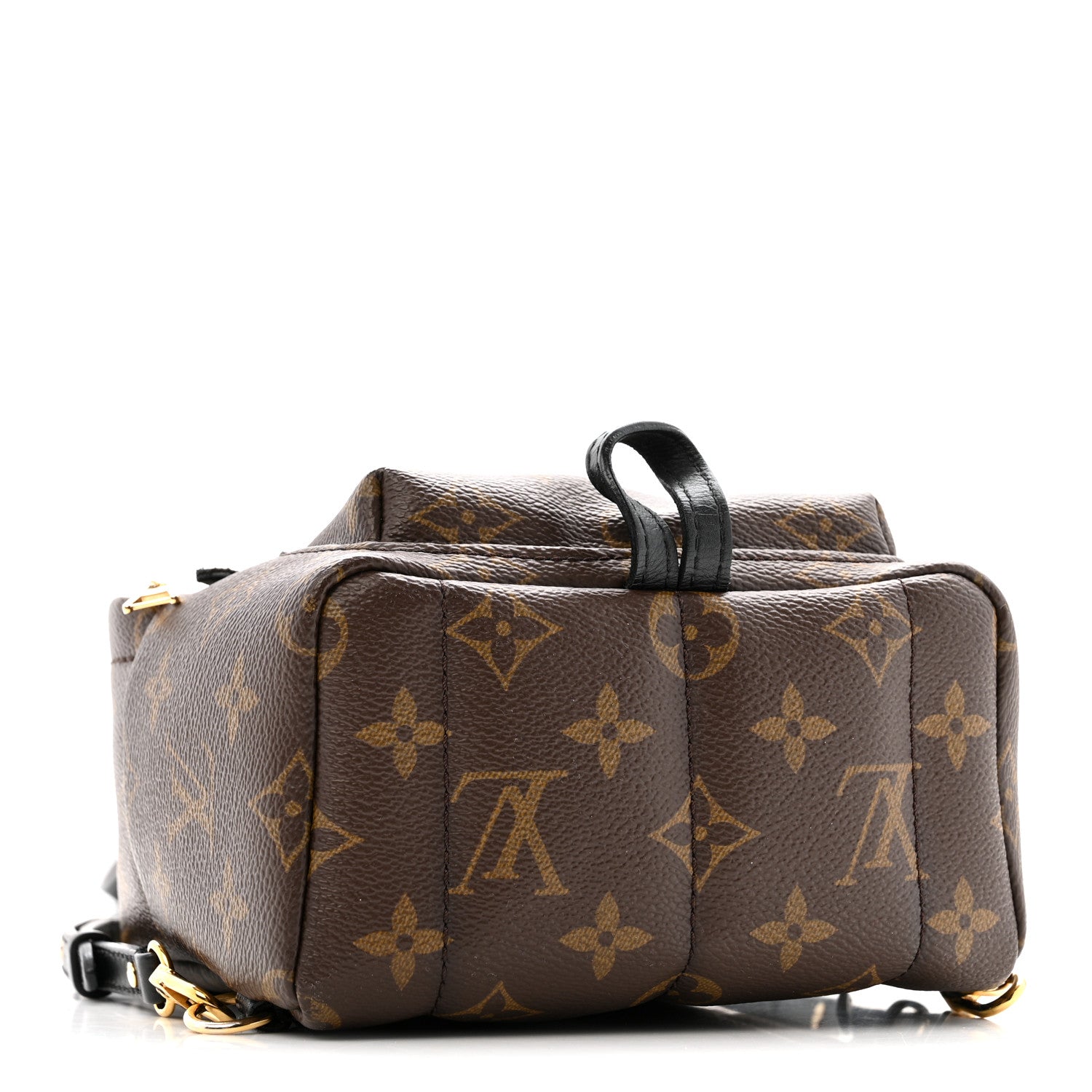 Louis Vuitton 2020 Monogram Palm Springs Mini