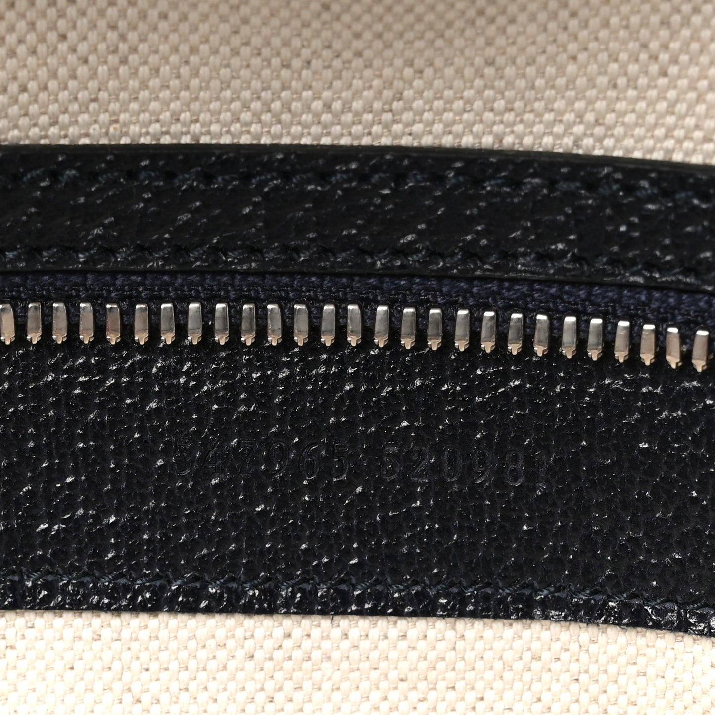 GG Supreme Monogram Textured Dollar Calfskin Web Small Ophidia Day Backpack Beige Blue Black