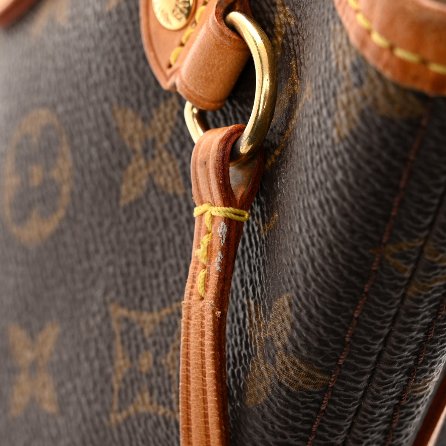 Louis Vuitton Monogram Neverfull PM 11 of 13
