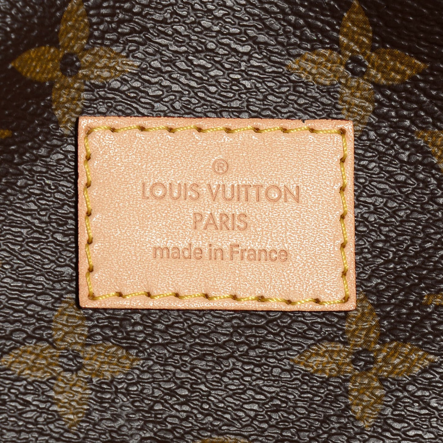 Monogram Sully MM