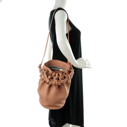 Alexander Wang Pebbled Lambskin Diego Bucket Bag Blush Pale Gold Hardware 2 of 7
