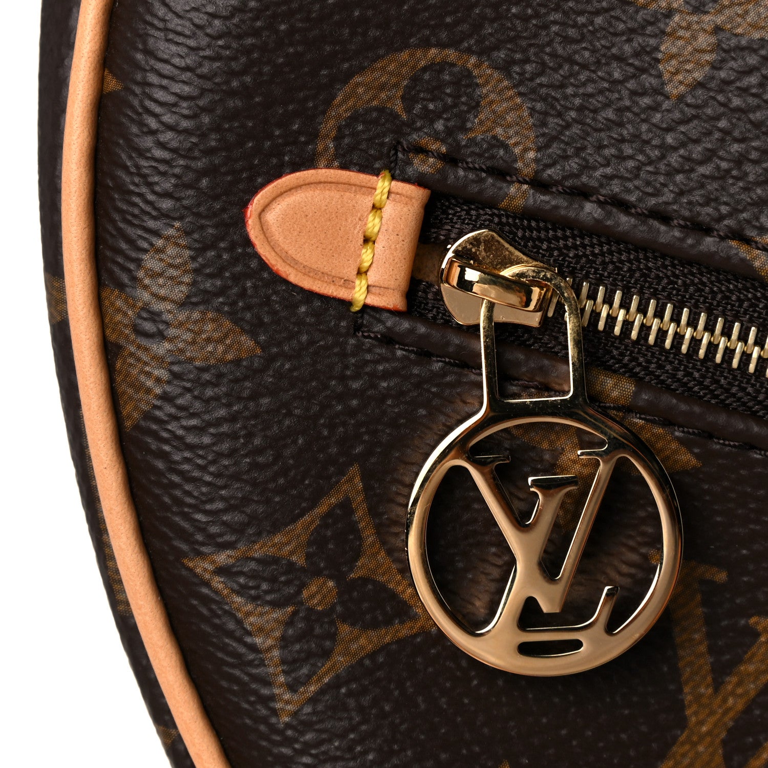 Louis Vuitton Monogram Loop 10 of 11