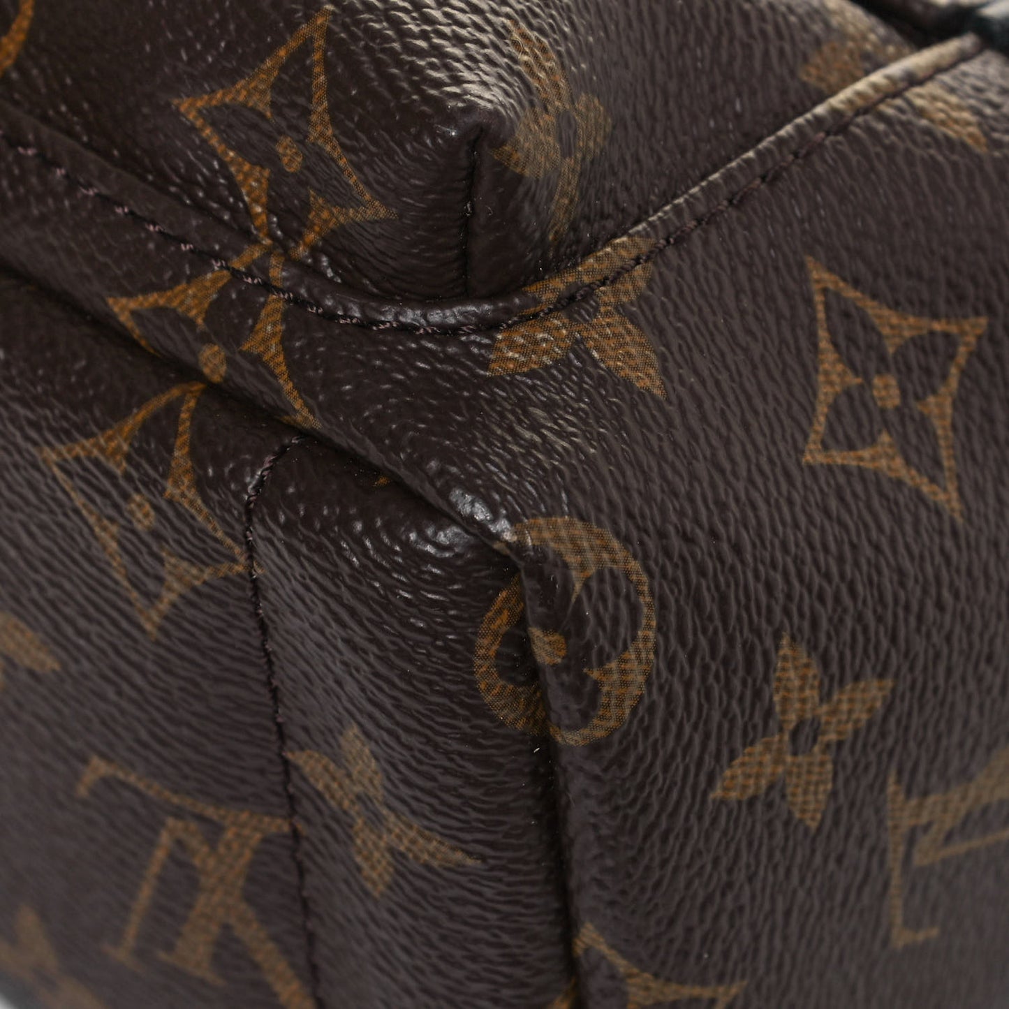 Monogram Palm Springs Backpack Mini